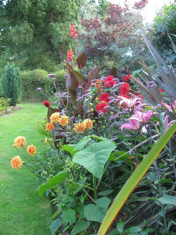 The Corner House Bed & Breakfast Rye Rom bilde