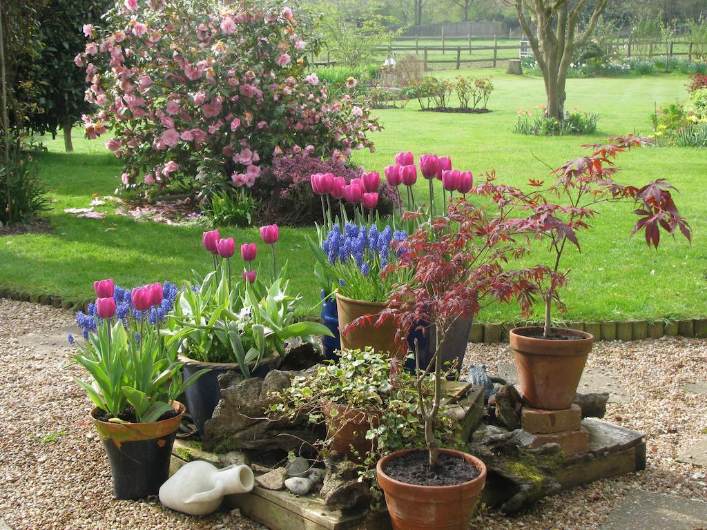The Corner House Bed & Breakfast Rye Rom bilde