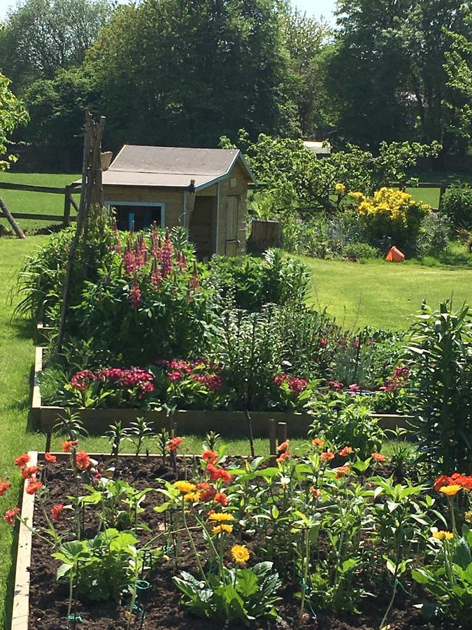 The Corner House Bed & Breakfast Rye Eksteriør bilde